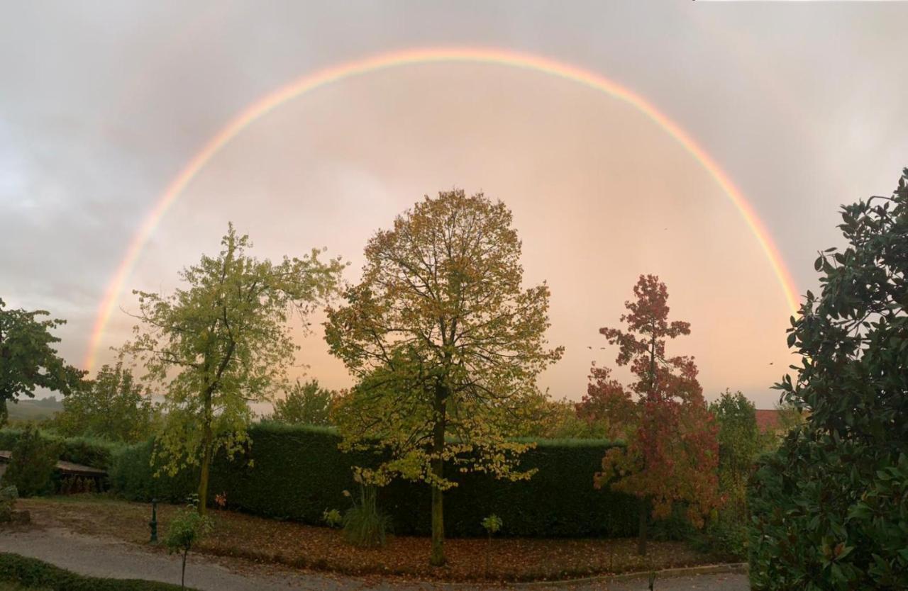 Suite Villa Aurelj Barolo Zewnętrze zdjęcie